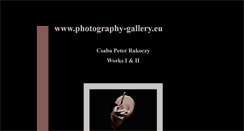 Desktop Screenshot of photography-gallery.eu